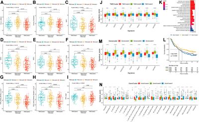 Multi-Omics Analysis of Novel Signature for Immunotherapy Response and Tumor Microenvironment Regulation Patterns in Urothelial Cancer